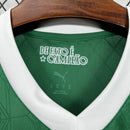 Camisa Palmeiras Home 25/26 - Puma Torcedor Masculina - Lançamento
