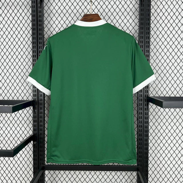 Camisa Palmeiras Home 25/26 - Puma Torcedor Masculina - Lançamento